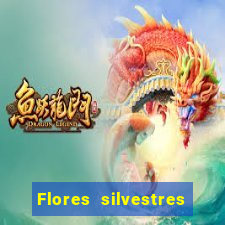 Flores silvestres brasileiras brasileiras flores silvestres nomes e imagens